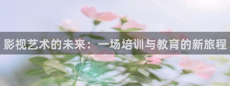 午夜理论片影院第九电影院：影视艺术的未来：一场培训与教育的新旅程