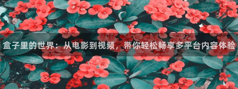 第九神马影院花花：盒子里的世界：从电影到视频，带你轻松畅享多平台内容体验