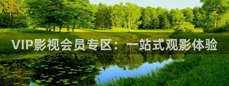 第九电影院免费：VIP影视会员专区：一站式观影体验