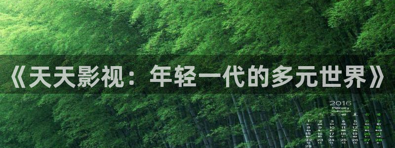 第九电影院达达兔：《天天影视：年轻一代的多元世界》