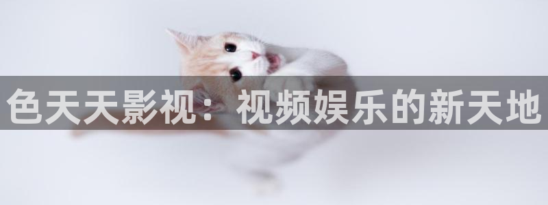 第九电影花花影院：色天天影视：视频娱乐的新天地